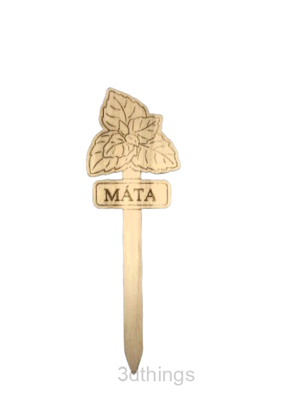 Máta
