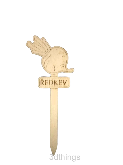 Ředkev