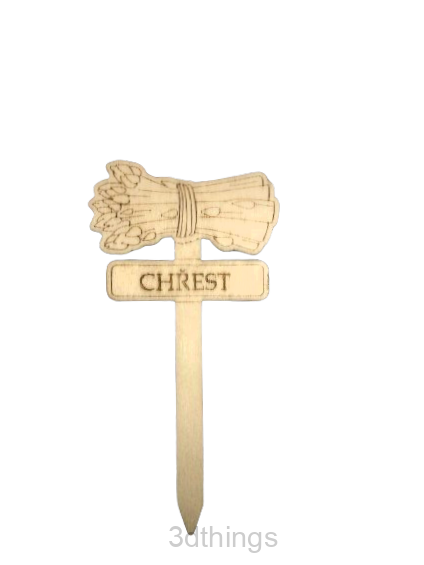Chřest